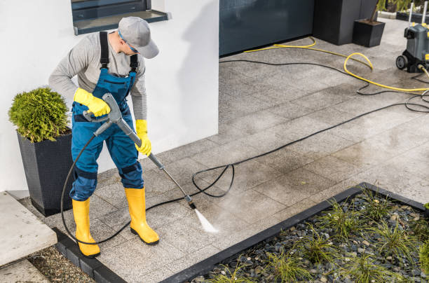 Best Roof Pressure Washing  in Massanutten, VA